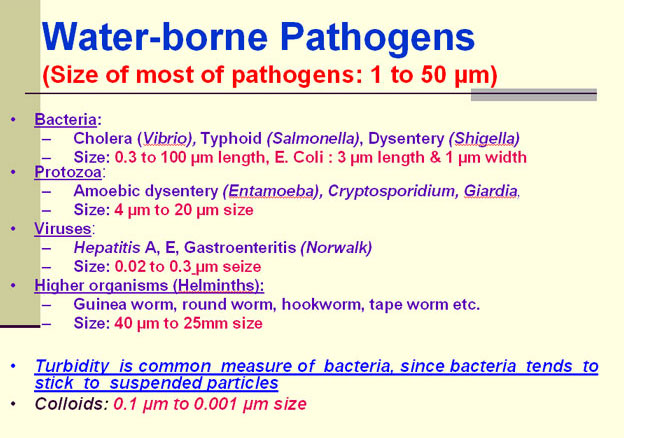Water Borne Pathogens