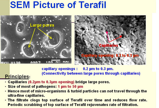 SEM Picture Of Terafil